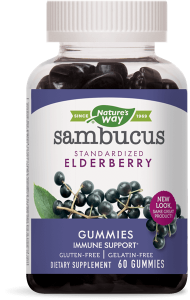 elderberry-gummies 60