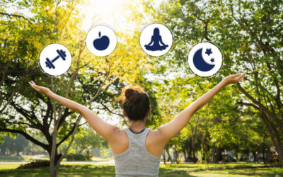 4 Branches of Wellness: Exercise, Nutrition, Relaxation and Sleep