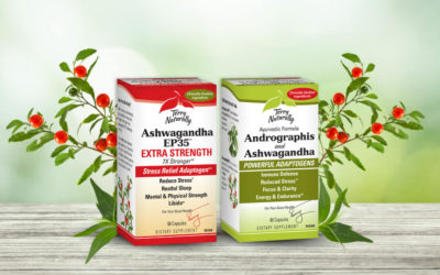 The Power of Adaptogenic Herbs: Ashwagandha and Andrographis