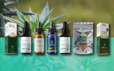 How Can CBD Oil Help You?