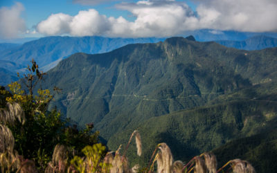 4 Great Natural Alternatives to Help Restore Hormone Balance in Women