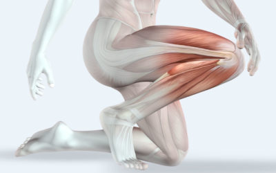 The Natural Secrets to Support and Strengthen Your Joints