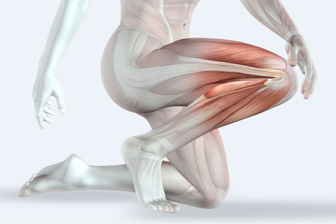 The Natural Secrets to Support and Strengthen Your Joints Nature's Discount