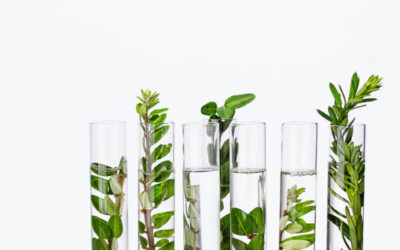 BioSchwartz: Solving Modern Health Challenges With Nature and Science