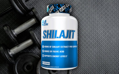 The Power of Shilajit: A Mountain Miracle for Your Health