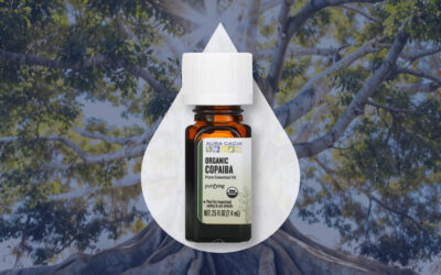 Copaiba Oil: the Amazonian Alternative for Natural Body Relief