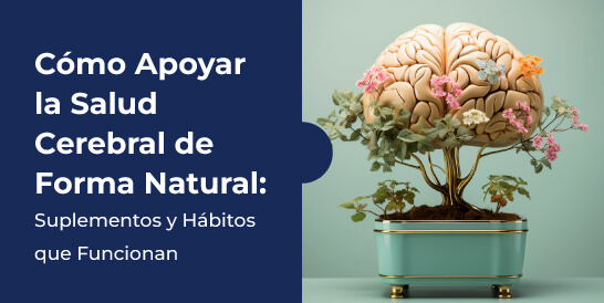 Cómo-Apoyar-la-Salud-Cerebral-de-Forma-Natural
