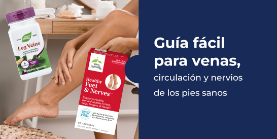 Guía-fácil-para-venas,-circulación-y-nervios-de-los-pies
